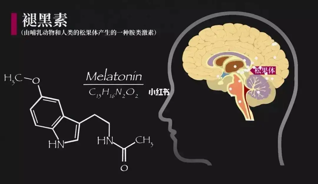 “睡眠幫手”褪黑素，究竟是何物？